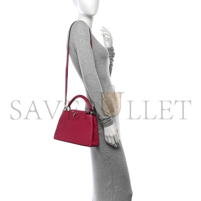 LOUIS VUITTON CAPUCINES BB  N89024 (27*18*9cm)